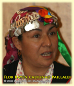 Flor Rayen Calfunao Paillalef, Mapuche, Chile. Symposium sur les Droits linguistiques, ONU, Genève, 24-04-2008